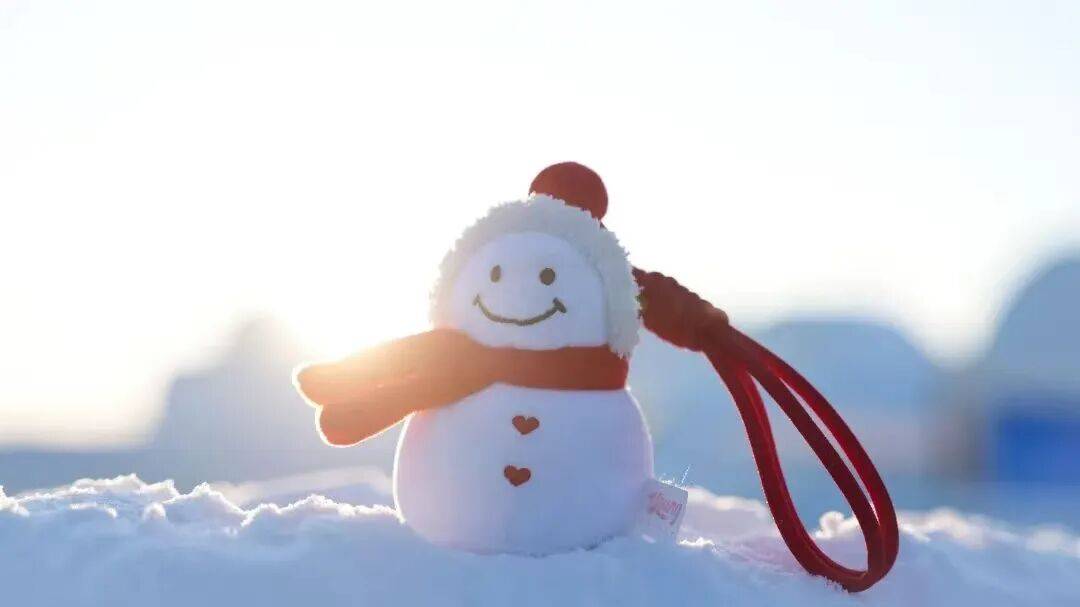 法｜哈尔滨冰雪大世界让童话记忆可触可藏AG真人国际厅百余款文创解锁冰雪新玩(图3)